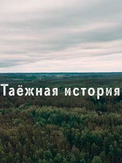 Таёжная история